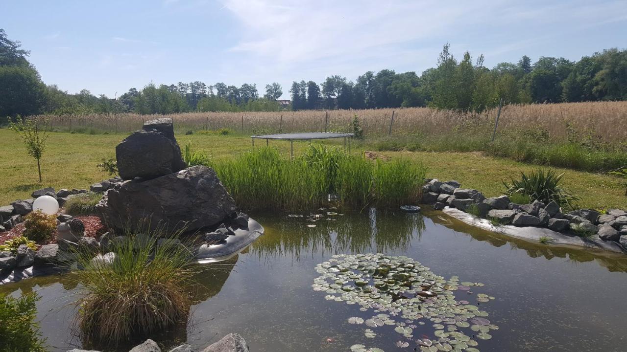 Ferienhaus Am Teich Rottleberode エクステリア 写真